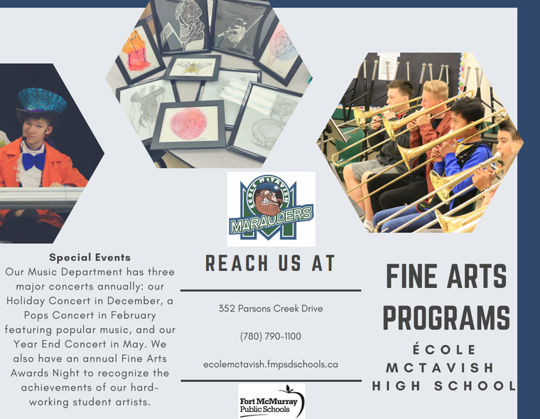 fine arts program info sheet