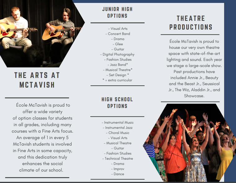 fine arts program info sheet